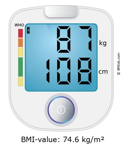 BMI 87 kg and 108 cm on the BMI calculator