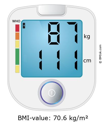 BMI 87 kg and 111 cm on the BMI calculator