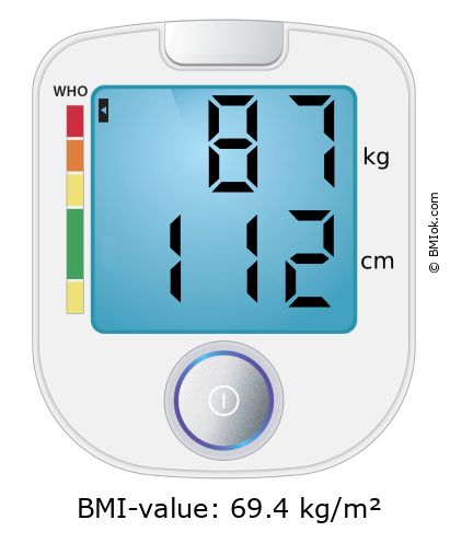 BMI 87 kg and 112 cm on the BMI calculator