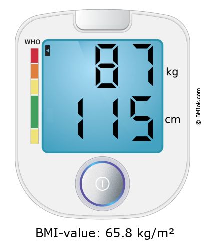 BMI 87 kg and 115 cm on the BMI calculator