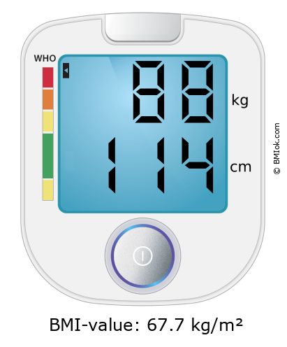 BMI 88 kg and 114 cm on the BMI calculator