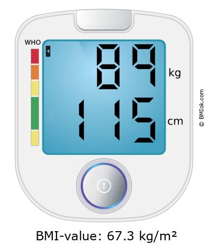 BMI 89 kg and 115 cm on the BMI calculator