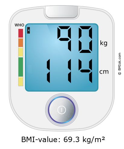 BMI 90 kg and 114 cm on the BMI calculator