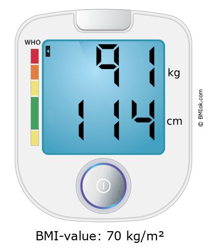 BMI 91 kg and 114 cm on the BMI calculator
