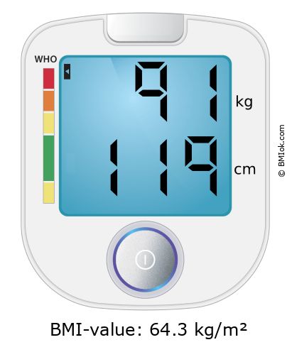 BMI 91 kg and 119 cm on the BMI calculator