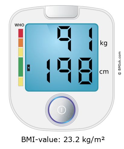BMI 91 kg and 198 cm on the BMI calculator