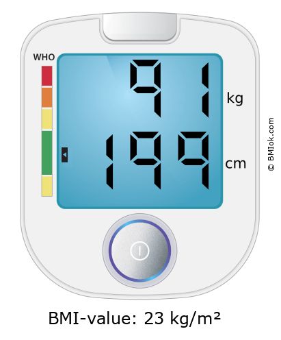 BMI 91 kg and 199 cm on the BMI calculator