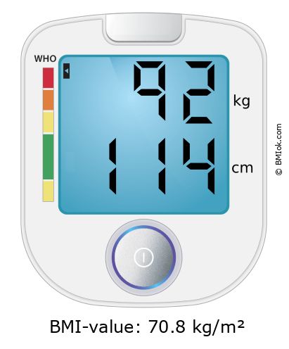 BMI 92 kg and 114 cm on the BMI calculator