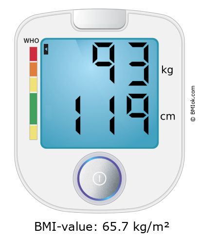 BMI 93 kg and 119 cm on the BMI calculator