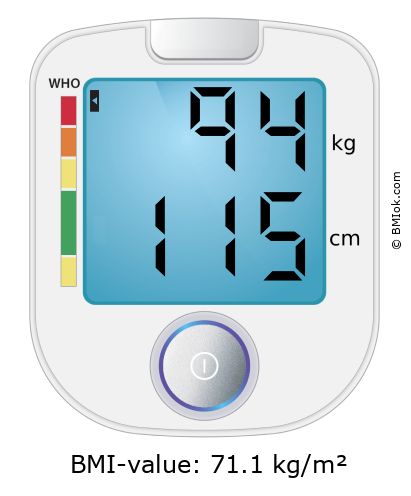 BMI 94 kg and 115 cm on the BMI calculator