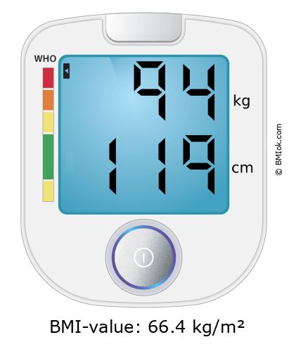 BMI 94 kg and 119 cm on the BMI calculator