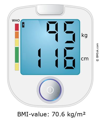 BMI 95 kg and 116 cm on the BMI calculator