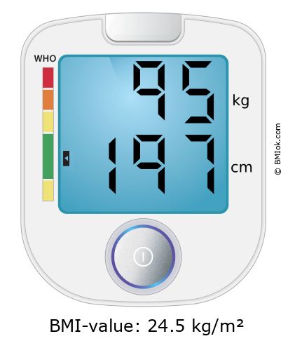 BMI 95 kg and 197 cm on the BMI calculator