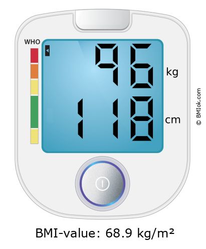 BMI 96 kg and 118 cm on the BMI calculator