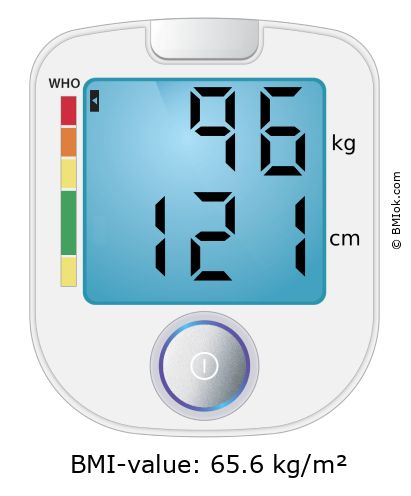 BMI 96 kg and 121 cm on the BMI calculator