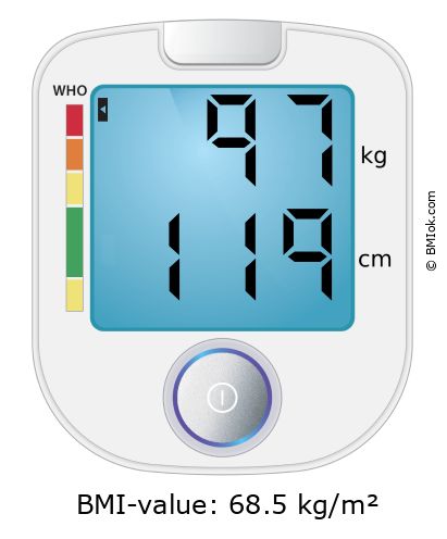 BMI 97 kg and 119 cm on the BMI calculator